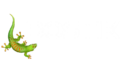 Logo_BOSTIK_white